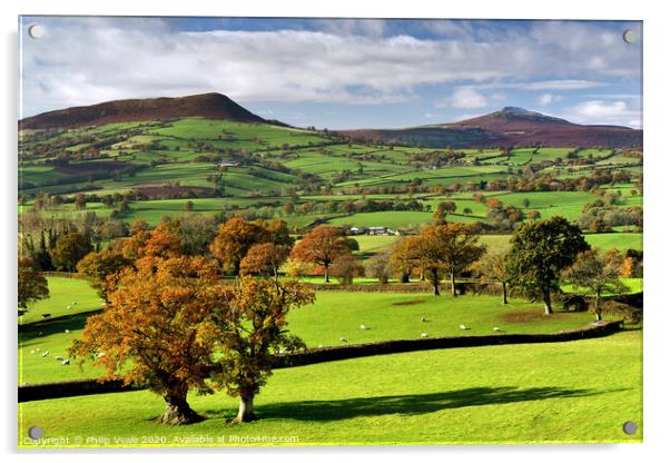 Sugar Loaf and Skirrid in the Shades of Autumn. Acrylic by Philip Veale