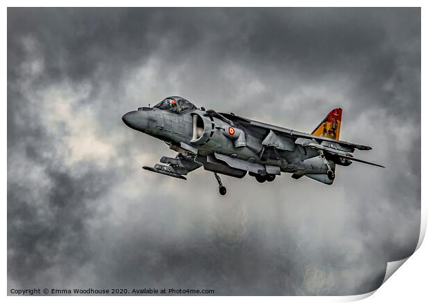 Spanish Harrier Print by Emma Woodhouse