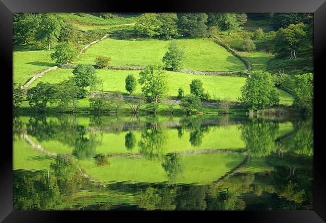 Reflections on Rydal Water Framed Print by Pete Hemington