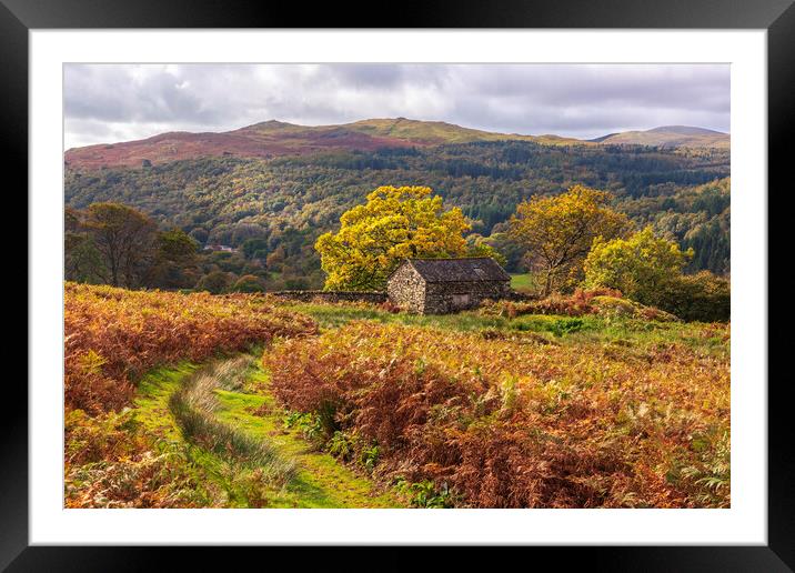 Lake District Autumn landscape Framed Mounted Print by John Finney