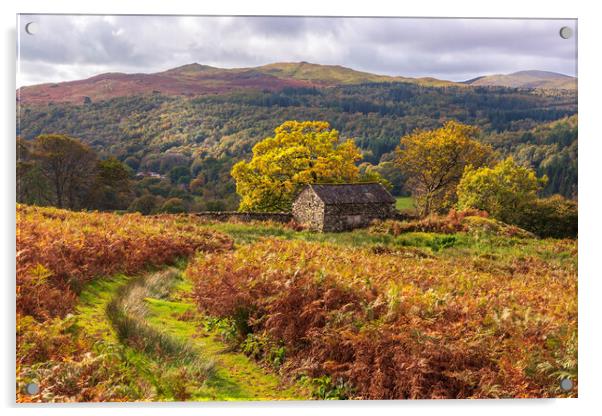 Lake District Autumn landscape Acrylic by John Finney