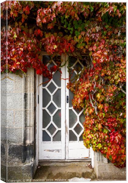 Wooden door, surrounded by ivy. Canvas Print by Phill Thornton