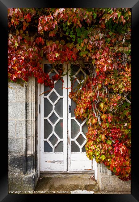 Wooden door, surrounded by ivy. Framed Print by Phill Thornton