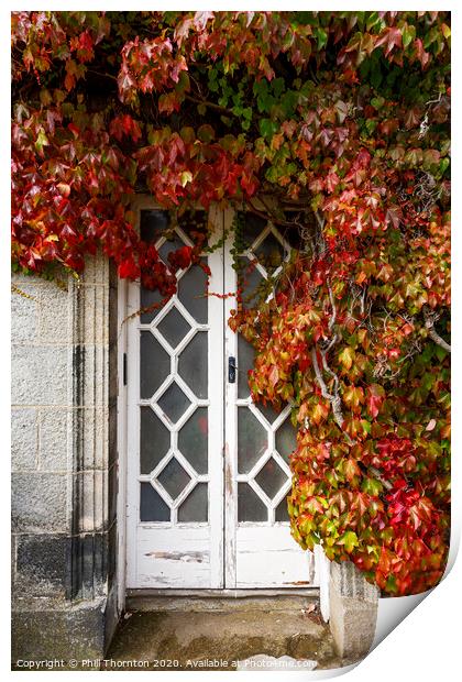 Wooden door, surrounded by ivy. Print by Phill Thornton