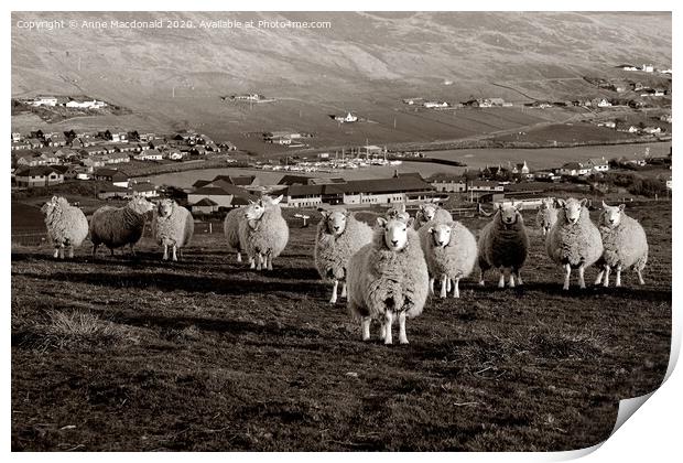 Stalked By Sheep On The Hill Print by Anne Macdonald