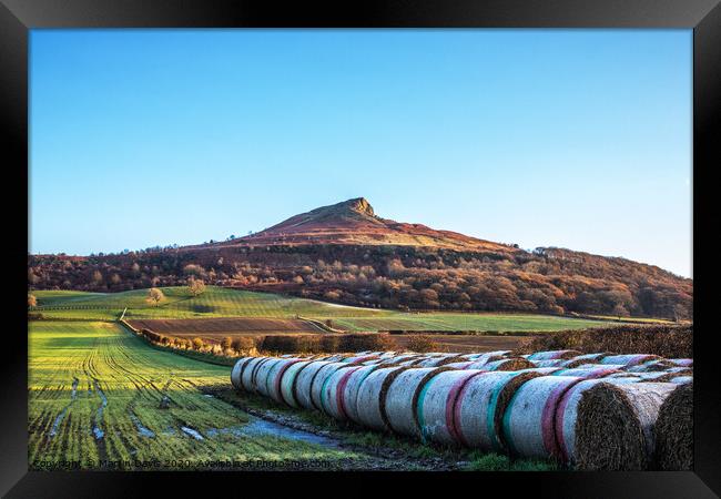 Roseberry Topping and Bales Framed Print by Martin Davis
