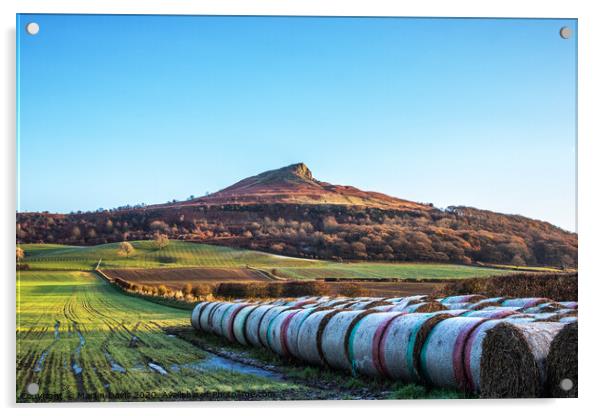 Roseberry Topping and Bales Acrylic by Martin Davis