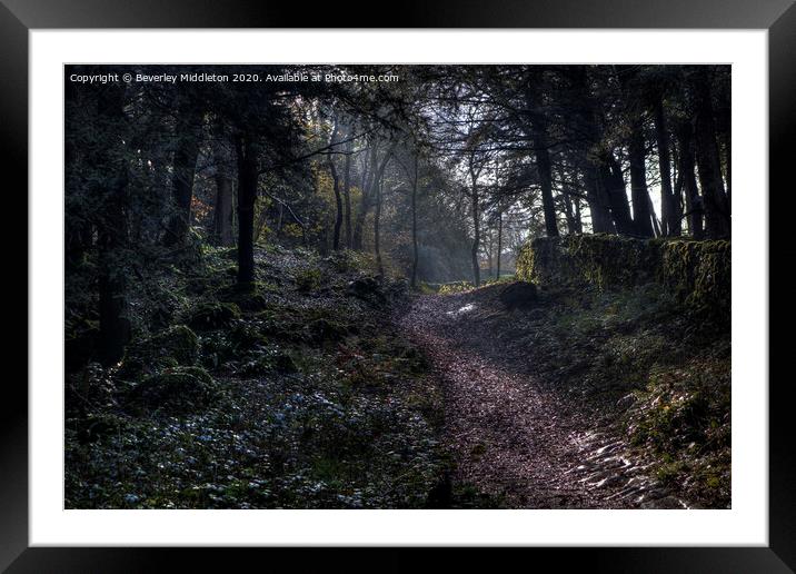 Woodland path Framed Mounted Print by Beverley Middleton
