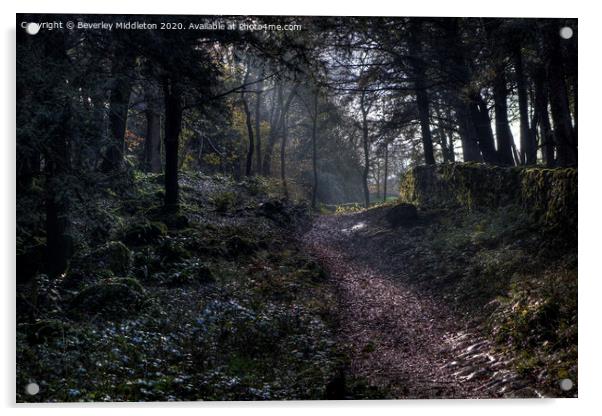 Woodland path Acrylic by Beverley Middleton