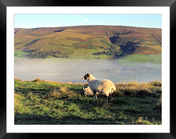 Morning mist at Edale valley. Framed Mounted Print by john hill