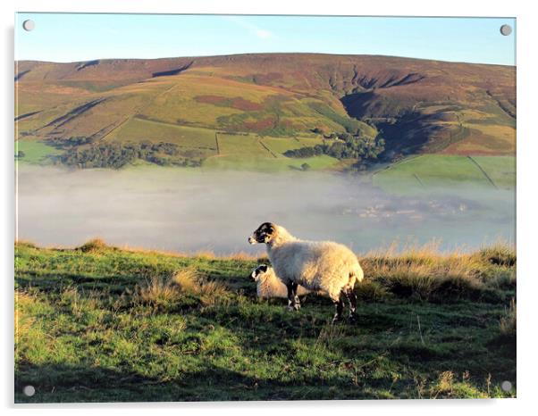 Morning mist at Edale valley. Acrylic by john hill