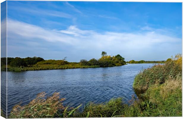 Windy day on the River Yare Canvas Print by Chris Yaxley