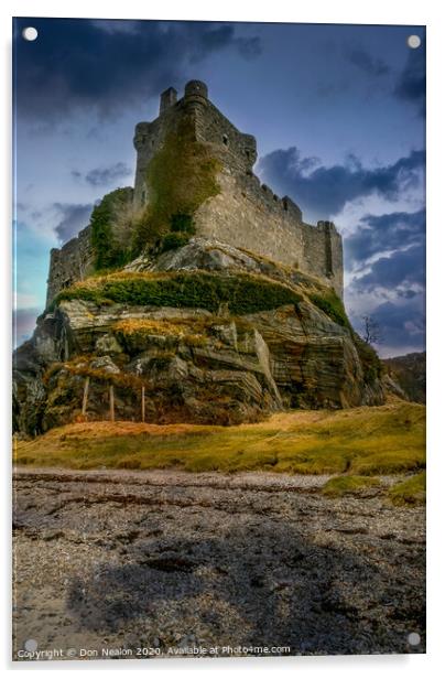 Majestic Castle Tioram Acrylic by Don Nealon