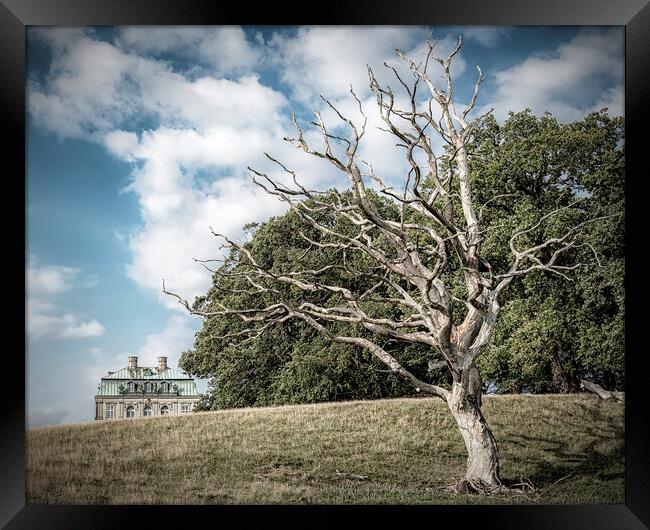 Dyrehaven Hermitage Palace And The Dead Tree Framed Print by Antony McAulay