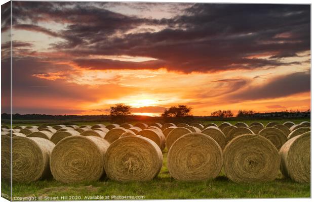 Circular bales at sunset  Canvas Print by Stuart Hill