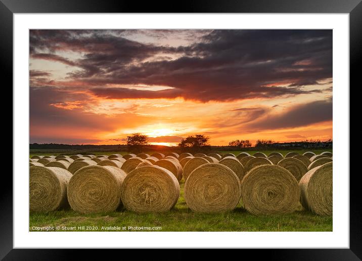 Circular bales at sunset  Framed Mounted Print by Stuart Hill