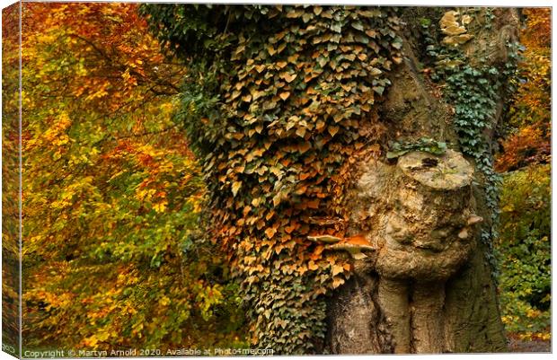 Autumn's Colours Canvas Print by Martyn Arnold