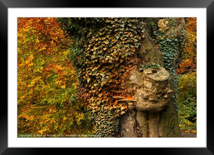 Autumn's Colours Framed Mounted Print by Martyn Arnold