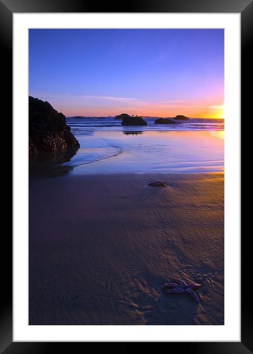 Beached  Framed Mounted Print by Mike Dawson