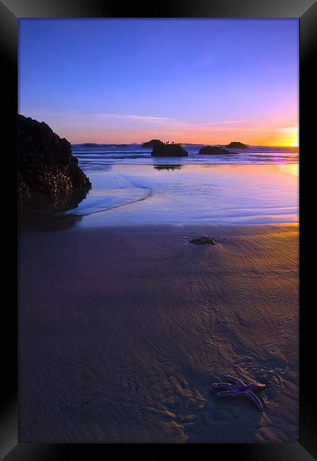 Beached  Framed Print by Mike Dawson