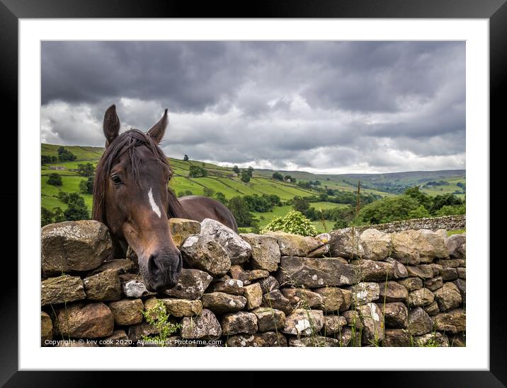 Swaledale pony Framed Mounted Print by kevin cook