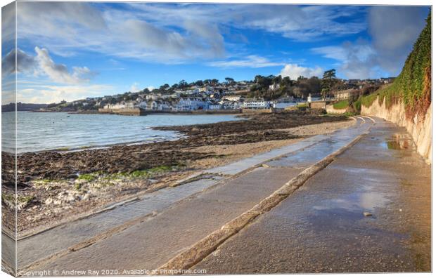 St Mawes View Canvas Print by Andrew Ray