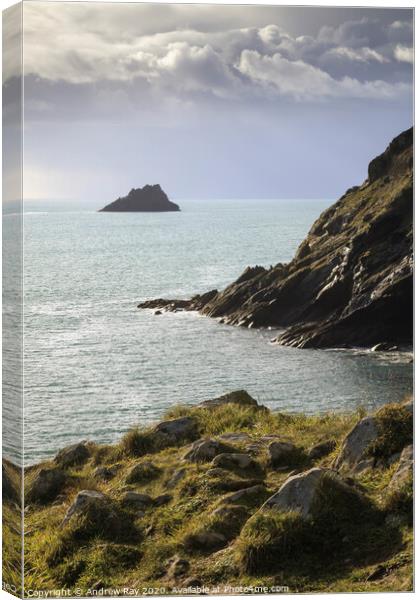 Gull Rock from the Jacka (Portloe)  Canvas Print by Andrew Ray