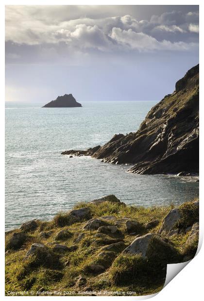 Gull Rock from the Jacka (Portloe)  Print by Andrew Ray