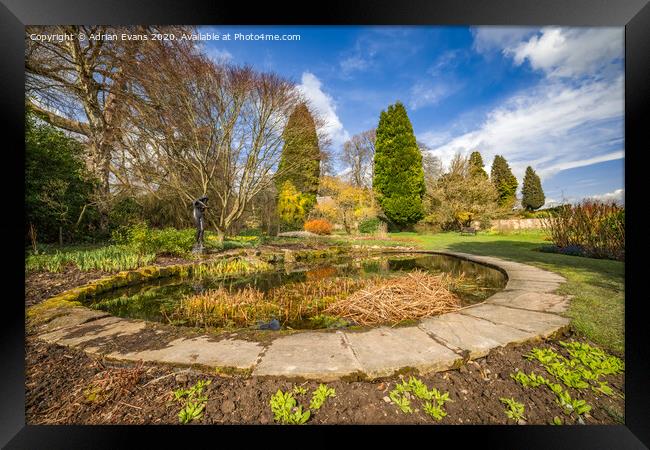 Spring Garden Pond Framed Print by Adrian Evans