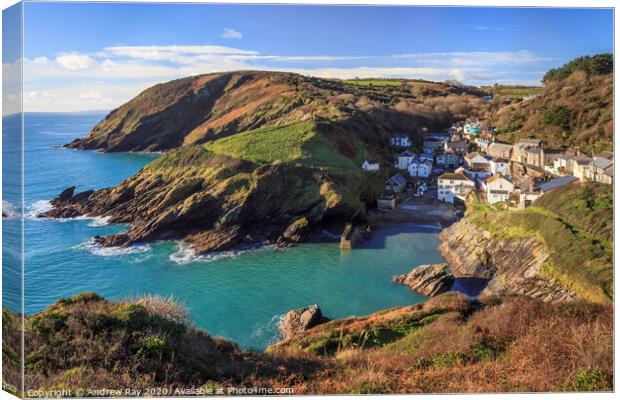 Portloe view  Canvas Print by Andrew Ray