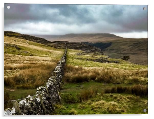 Whernside in the cloud Acrylic by Jim Day