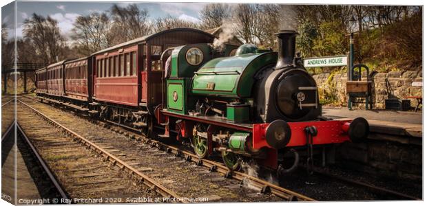 Steam Train at Tanfield Canvas Print by Ray Pritchard