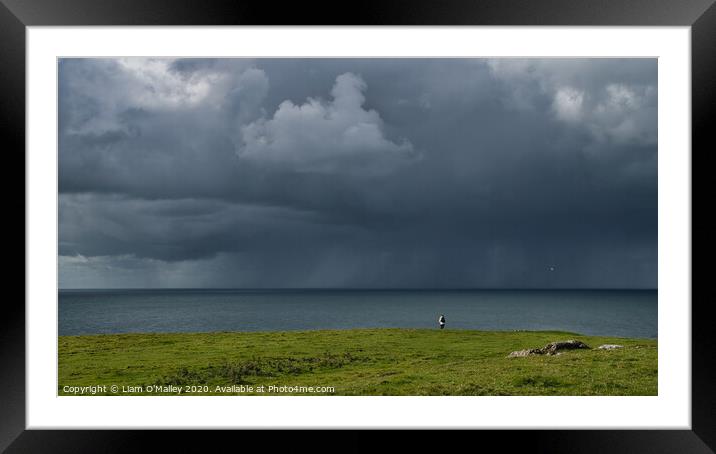 The Oncoming Storm, Llyn Peninsula, Wales Framed Mounted Print by Liam Neon