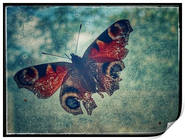 Broken Butterfly Print by Matthew Balls