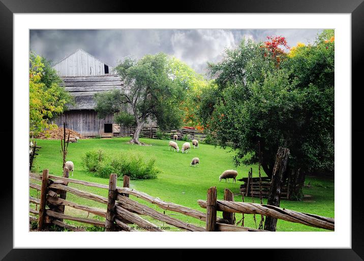 The Sheep Farm Framed Mounted Print by Elaine Manley