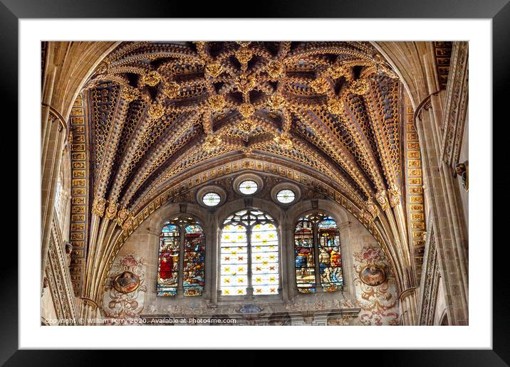 Stone Arch Stained Glass Statues New Salamanca Cathedral Spain Framed Mounted Print by William Perry