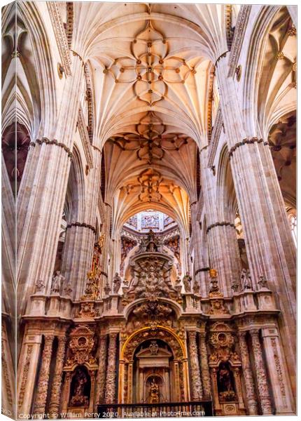 Stone Columns Statues New Salamanca Cathedral Spain Canvas Print by William Perry