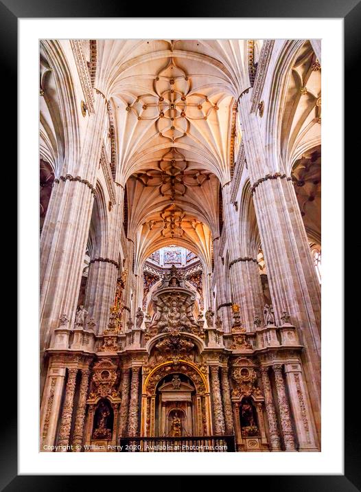 Stone Columns Statues New Salamanca Cathedral Spain Framed Mounted Print by William Perry