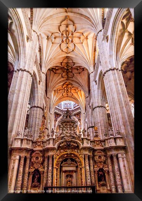 Stone Columns Statues New Salamanca Cathedral Spain Framed Print by William Perry