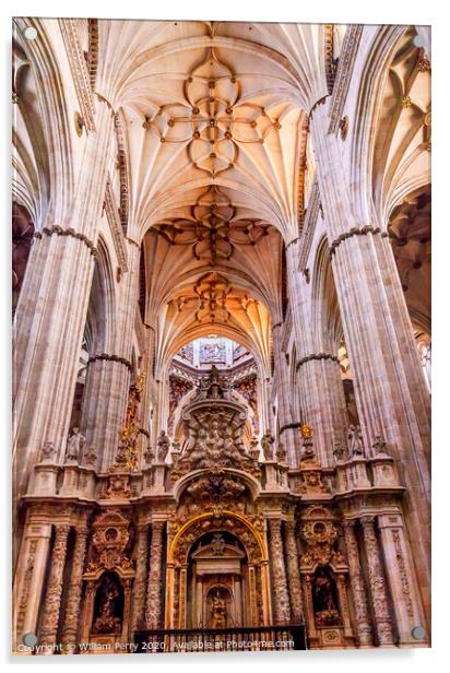 Stone Columns Statues New Salamanca Cathedral Spain Acrylic by William Perry