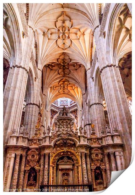 Stone Columns Statues New Salamanca Cathedral Spain Print by William Perry