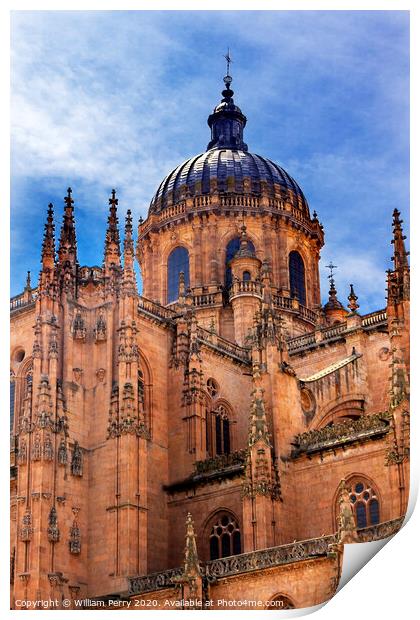 Stone Dome New Salamanca Cathedral Spain Print by William Perry