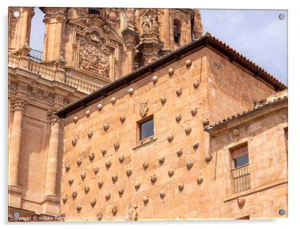 House of Scallop Shells Casa de la Conchas Salamanca Castile Spain Acrylic by William Perry