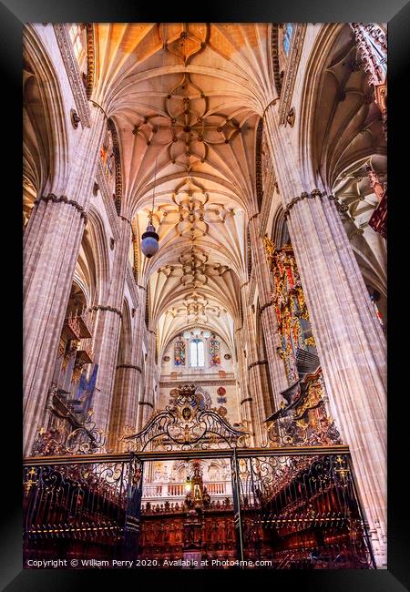 Stone Columns Choir Stalls New Salamanca Cathedral Spain Framed Print by William Perry