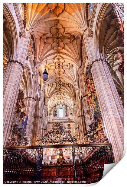Stone Columns Choir Stalls New Salamanca Cathedral Spain Print by William Perry