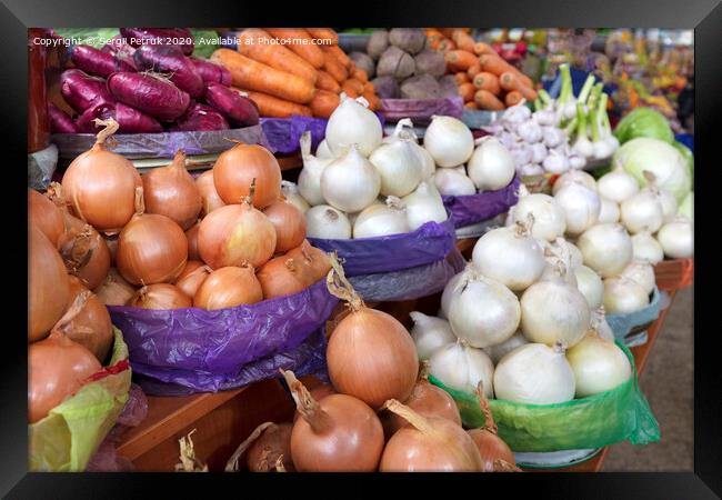 different varieties of onions are sold in trays on the market Framed Print by Sergii Petruk
