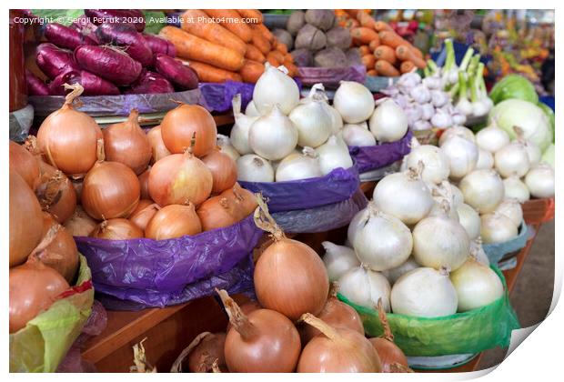 different varieties of onions are sold in trays on the market Print by Sergii Petruk