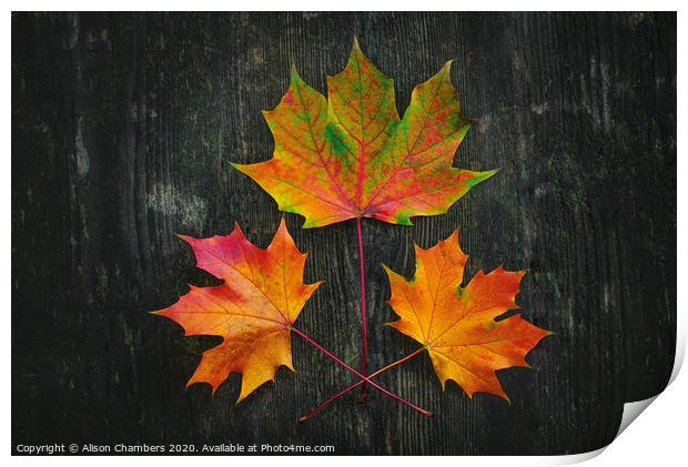 Autumn Fire Print by Alison Chambers