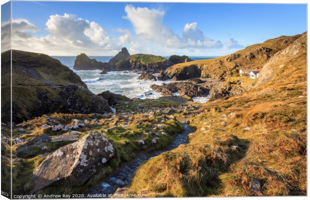 Path to Kynance Cove  Canvas Print by Andrew Ray