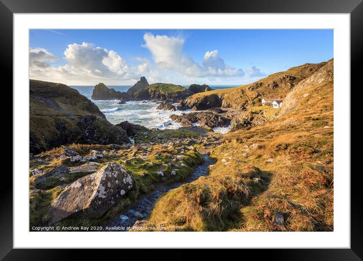 Path to Kynance Cove  Framed Mounted Print by Andrew Ray
